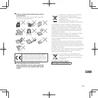 Страница 119