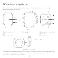 Страница 51