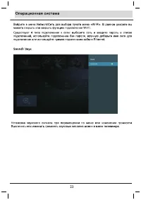 Страница 21