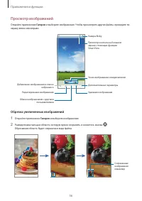 Страница 56