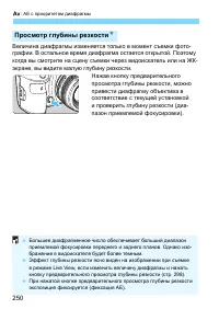 Страница 250