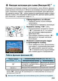 Страница 259