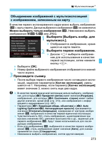 Страница 273