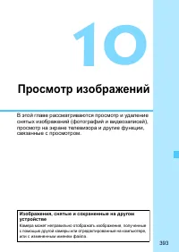 Страница 393