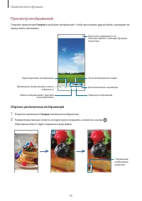 Страница 55