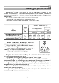 Страница 13