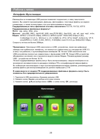 Страница 21