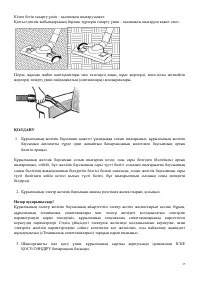 Страница 37