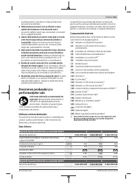 Страница 181
