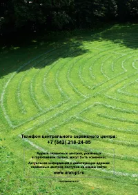 Страница 25
