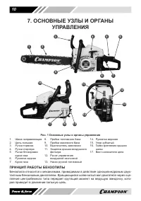 Страница 10
