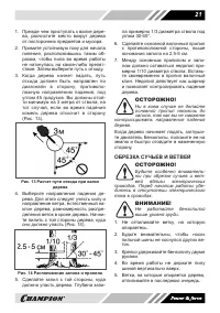 Страница 21