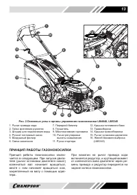 Страница 13