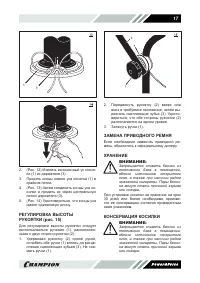 Страница 17