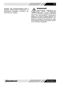 Страница 17