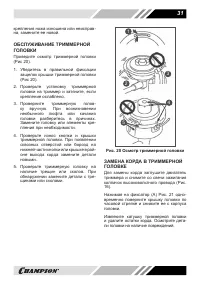 Страница 31