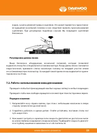 Страница 25