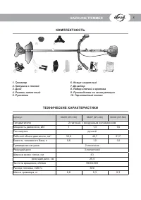 Страница 5