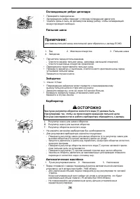 Страница 29