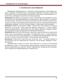 Страница 25