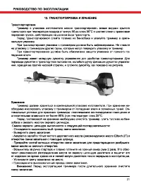 Страница 21