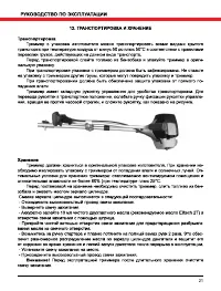 Страница 21