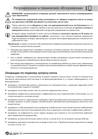 Страница 25