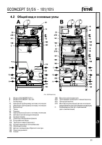 Страница 31
