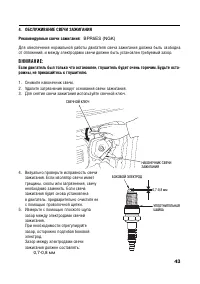 Страница 43