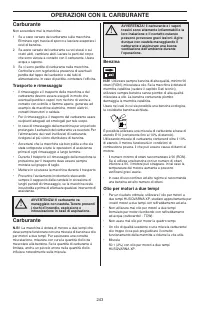 Страница 243