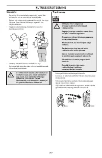 Страница 267