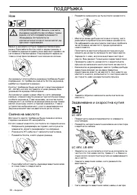 Страница 36