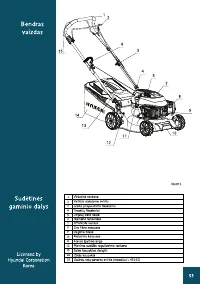 Страница 53