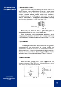 Страница 29