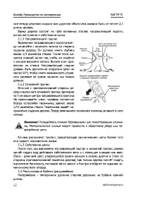 Страница 12