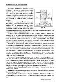 Страница 13