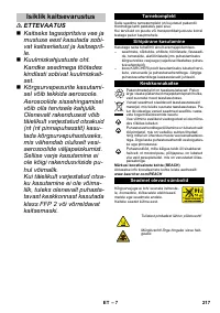 Страница 217