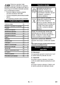 Страница 261