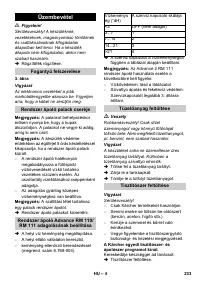 Страница 234