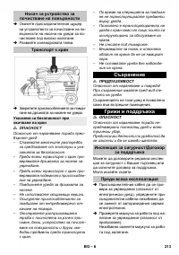 Страница 213