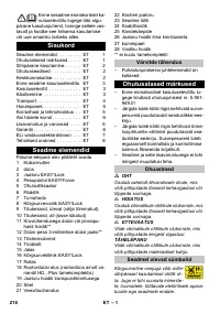 Страница 218