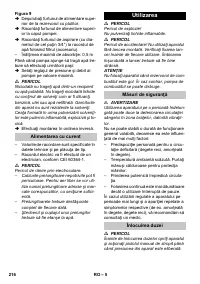 Страница 216