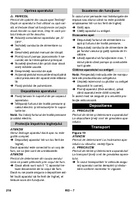 Страница 218