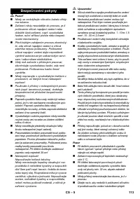 Страница 113