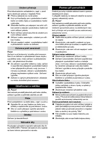 Страница 117