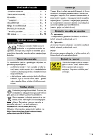 Страница 119
