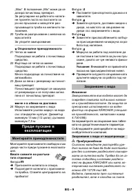 Страница 217
