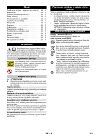 Страница 101