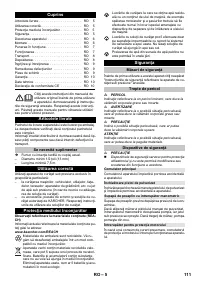 Страница 111