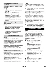 Страница 217